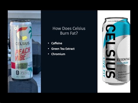 Does Celsius Actually Burn Fat And Help You Lose Weight?