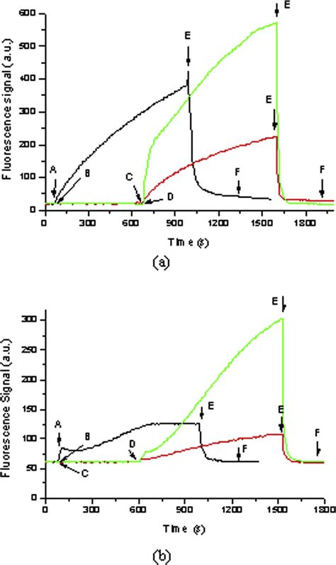 Characterization Of Hapten Carrier Protein Modified Fiber Optic