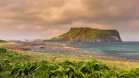 Jeju Volcanic Island and Lava Tubes | Sony Global - α CLOCK: world time ...