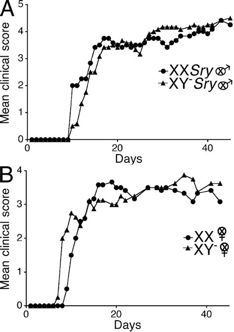 No Effect Of Sex Chromosome Complement For Active Eae In C57bl6 Mice