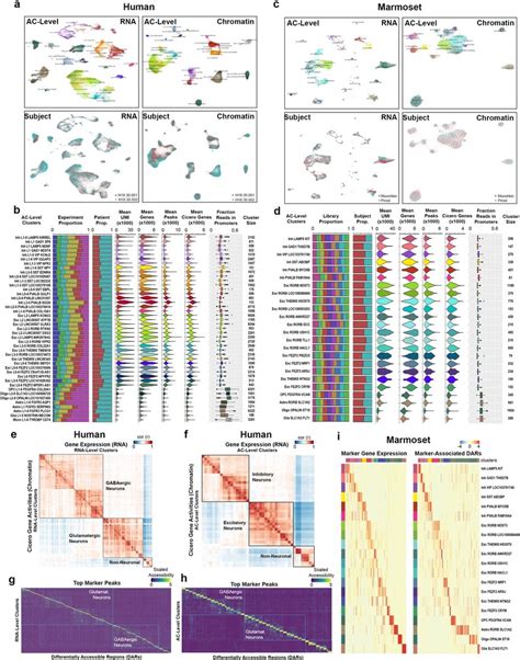 Snareseq2 Quality Statistics A Umap Plots Showing Human Clusters At