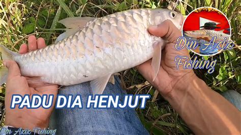 Fishing Ikan Tengas Sungai Slim Padu Youtube