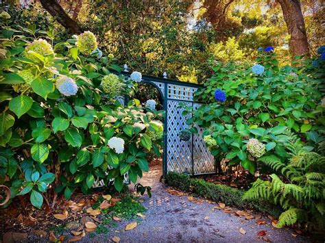 20 Gorgeous Garden Gate Landscaping Ideas