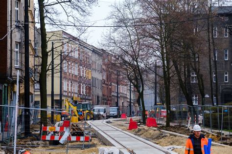 Wielka Wycinka Drzew W Bytomiu Pono Drzewa Na Piekarskiej S Chore I