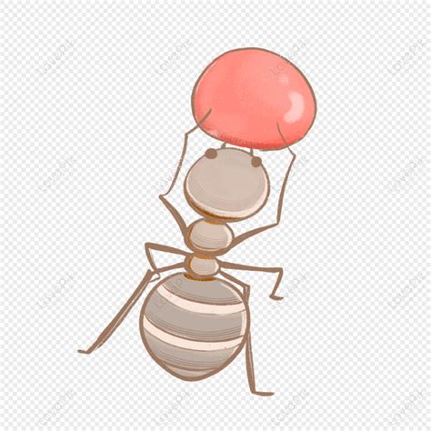 Insect Ant, Ant, Anime, Fruit PNG Image And Clipart Image For Free ...