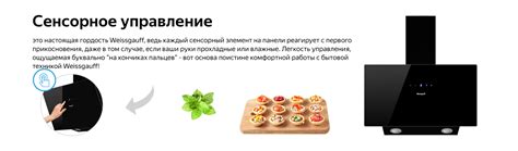 Купольная вытяжка Weissgauff Zibal 60 BL Sensor купить с доставкой в ...