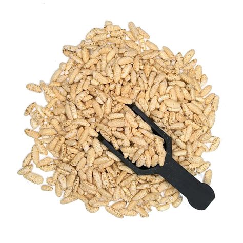 Puffed Rice Cereal Whole Grain 4oz To 5lb 100 Pure Natural Hand Crafted Etsy