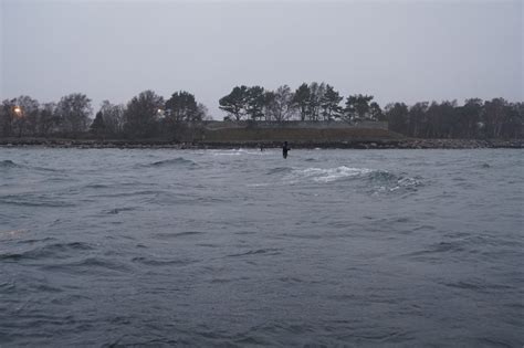 Fiskedagbog Dk Forunderlige Januar M Rkelige Fisk