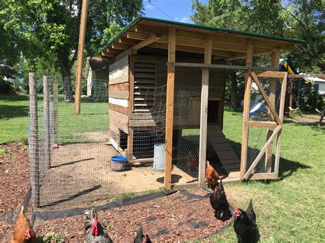 Wrapped Up Covering The Chicken Coop With Barn Wood And Scrap Lumber