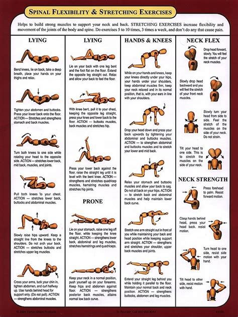 Exercises: Exercises Spinal Stenosis