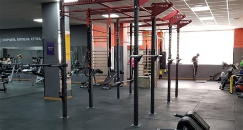 Gimnasio Altafit Gym Majadahonda Horario Precio Opiniones