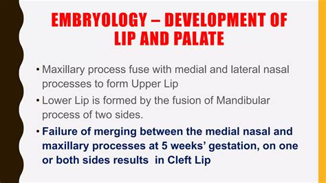 Cleft Lip And Cleft Palate Ppt Pptx