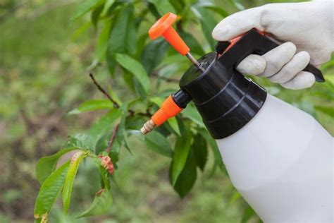 Cómo Actúan Los Pesticidas ¡en Garden Center Ejea Te Lo Decimos