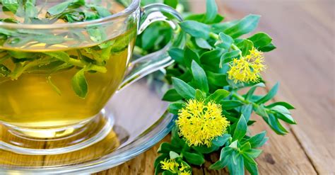 Adaptogen Herbs To Lower Your Cortisol Wellness Repair