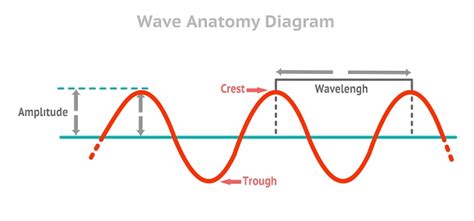 Wave Anatomy Diagram Amplitude Waveform Crest Trough Longitude ...