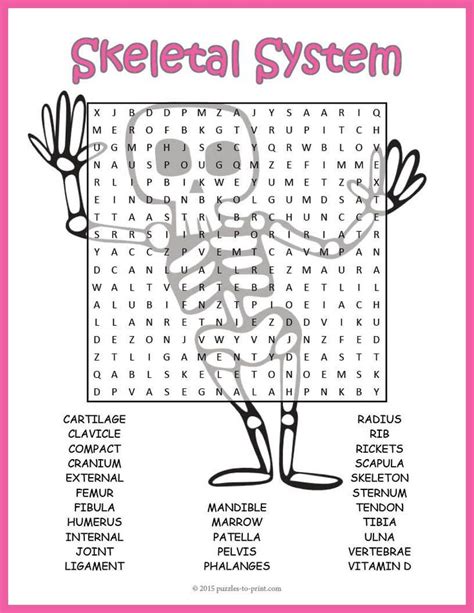 Skeletal System Worksheet Pdf No Prep Skeletal System Activity Human