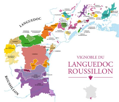 Understanding Aoc Languedoc Roussillon Wine Decoded