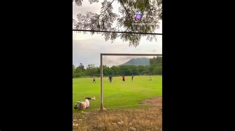 Вот это сейв 朗 理 t.me/goalkeeperclub - телеграм-канал для вратарей 2025 ...