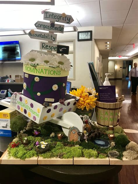 Winner Of The Daisy Nomination Box Contest At Northwestern Medicine