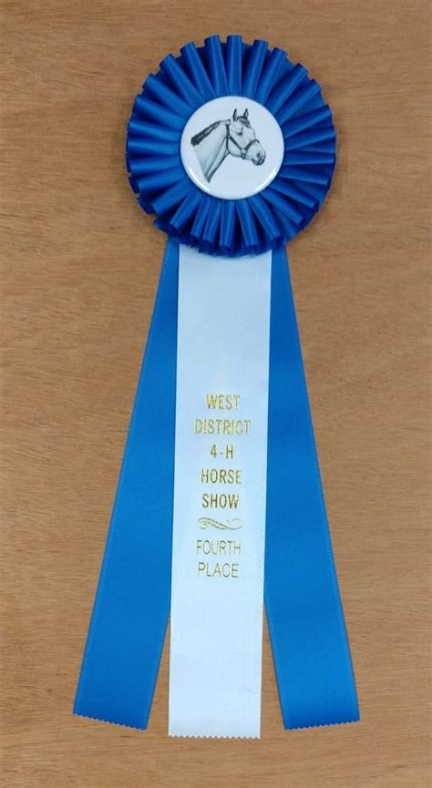 Versatility 15 Award Ribbon Custom Rosette Mclaughlin Ribbon Awards