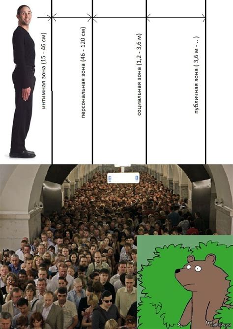 Интимная зона | Пикабу