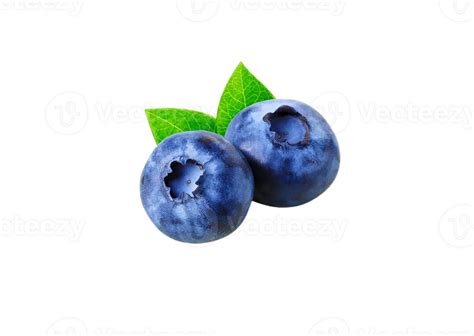 Berry Png Transparent Background 29228813 Png