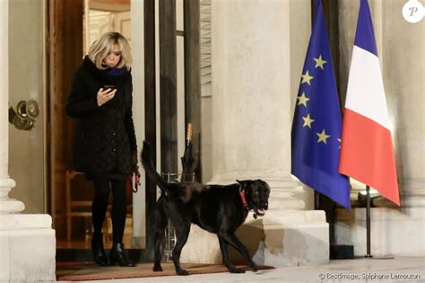 La Premi Re Dame Brigitte Macron Prom Ne Son Chien Nemo Autour Du