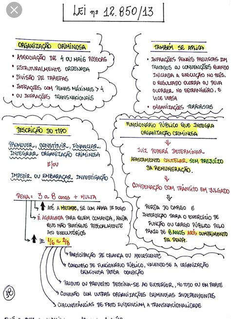 Mapa Mental OrganizaÃ§Ã£o Ologia