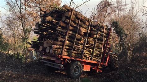 Trasporto In Bosco Legna Rimorchio Trotti YouTube