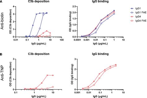 Frontiers Factors Affecting Igg Mediated Complement Activation