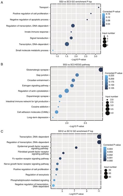 Functional Analysis Of The De Mirna Target Genes A Go And B Kegg