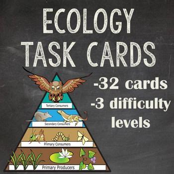 A Blackboard With The Words Ecology Task Cards In Front Of It And An