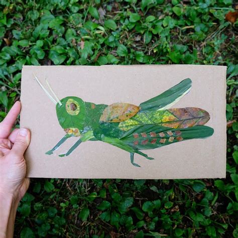 Yesterday We Saw A Stunning Grasshopper And It Became A Whole Thing ⁣ It’s How This Homeschool