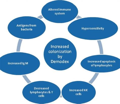 Clinical Studies | Everything Demodex