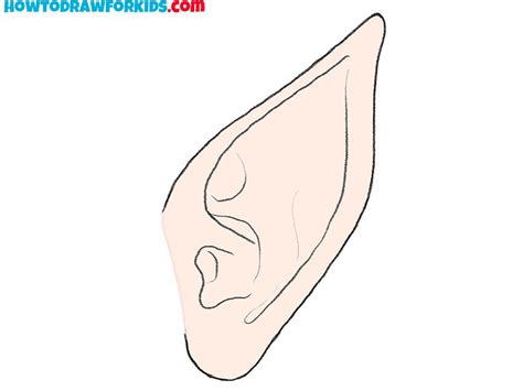 elf ear drawing guide | Elf ears, Ear images, Ear