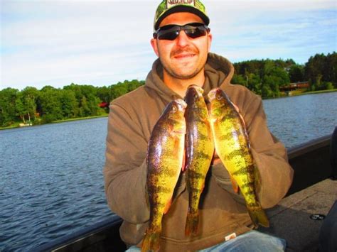 Vilas County Lakes, Vilas County - Wisconsin Fishing Reports and ...