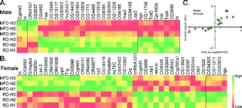 Heat Map Of Differentially Expressed Genes In The Heads Heat Map Download Scientific Diagram