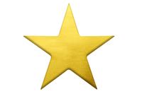 STAR | meaning in the Cambridge English Dictionary