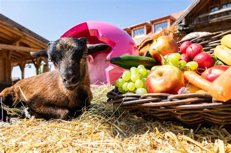 Ostern Auf Gut Aiderbichl Iffeldorf Gut Aiderbichl