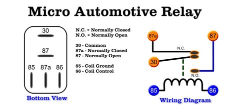 Ansul Micro Switch 101 Model 20 Electrical Wiring Diagram Wi