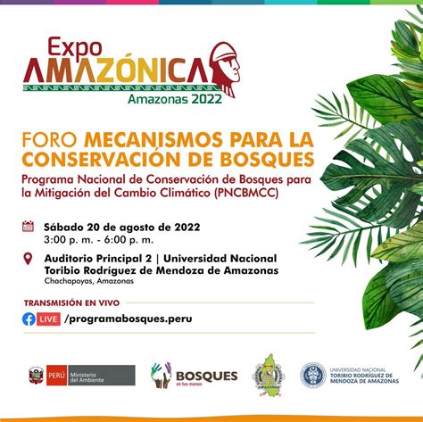 Programa Bosques On Twitter Participa Del Foro Especializado