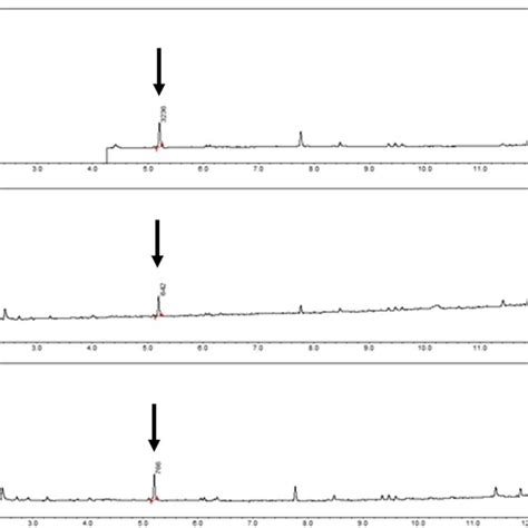 Chromatography analysis of a dog accidently poisoned by metaldehyde ...