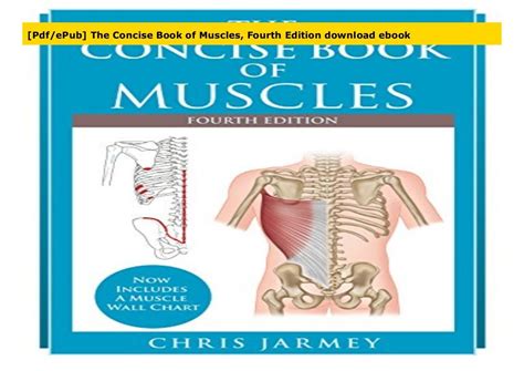 Pdfepub The Concise Book Of Muscles Fourth Edition Download Ebook