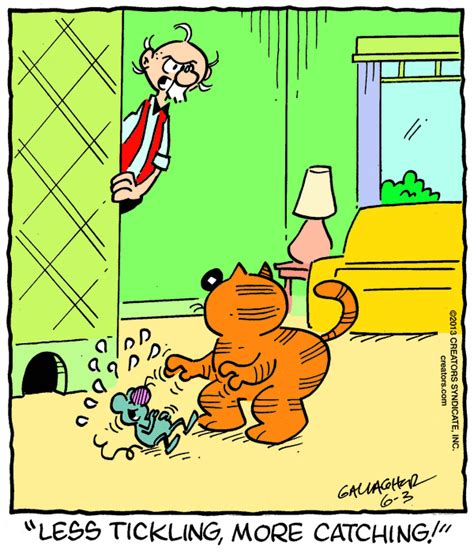 Heathcliff Cartoon for Jun/03/2013 Funny Cartoons, Funny Cats, Funny ...