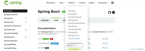 SpringBoot第一课 阿里云开发者社区