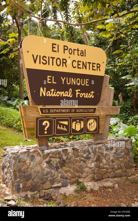 El Yunque National Park