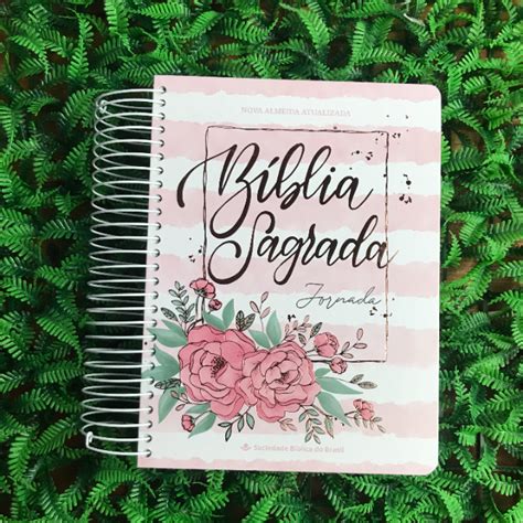 Biblia Com Anotações