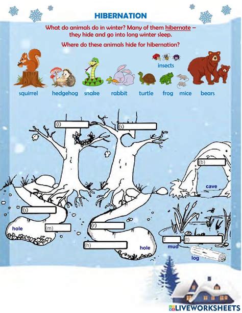 Hibernation 2202097 Xxenia Live Worksheets