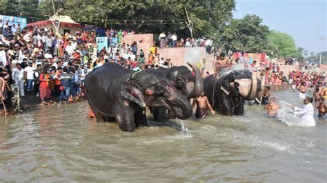 Sonepur Mela सोनपुर मेला तीन साल बाद होगा गुलजार सारण के जिला प्रशासन ने शुरू की तैयारियां