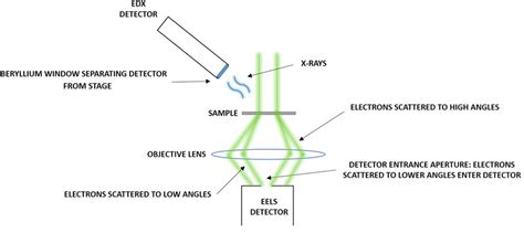 10 Schematic Of The Edx Detector Used In This Work Download Scientific Diagram